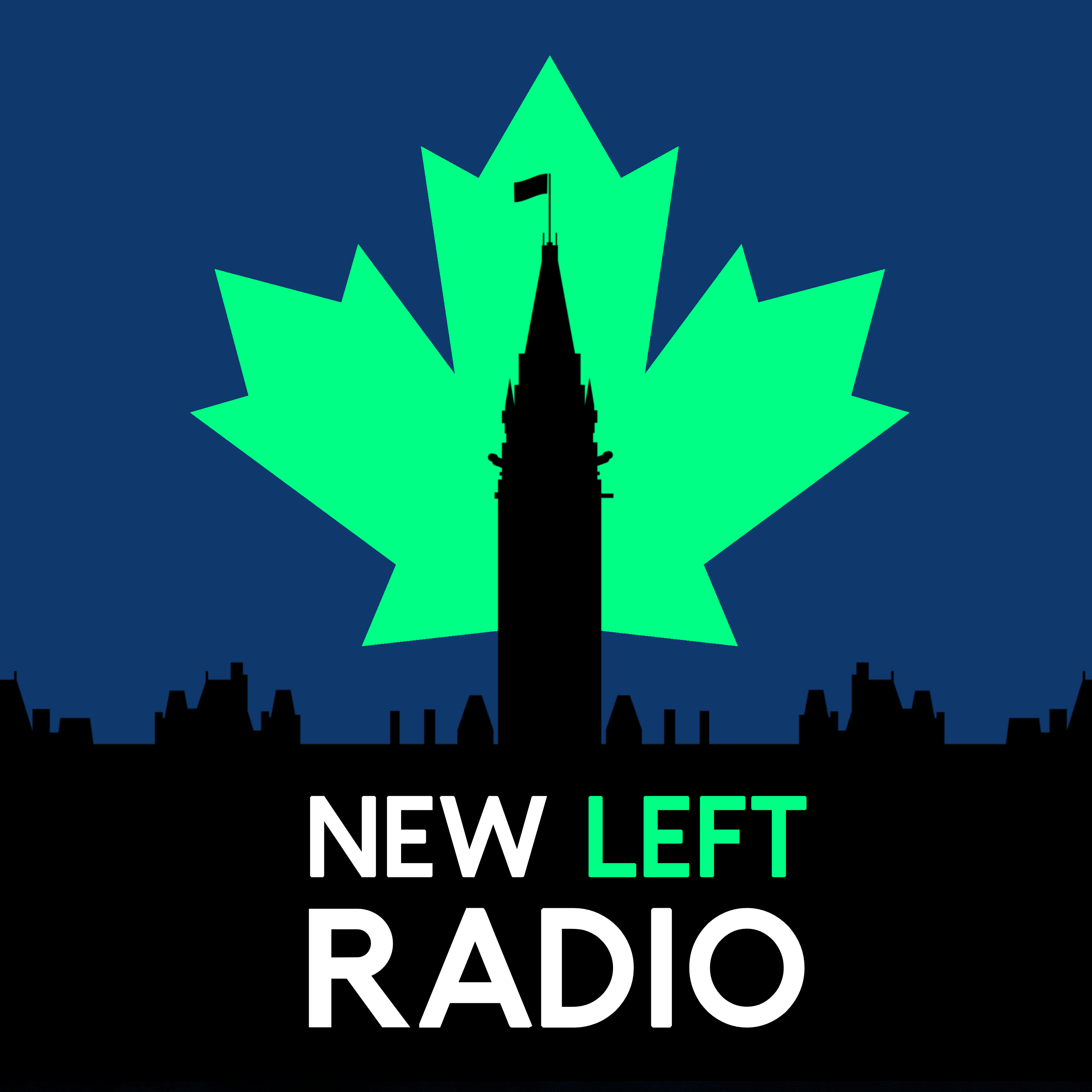 Artwork for podcast New Left Radio